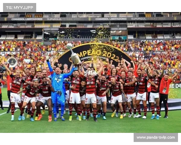 南美解放者杯利马联盟主场大胜