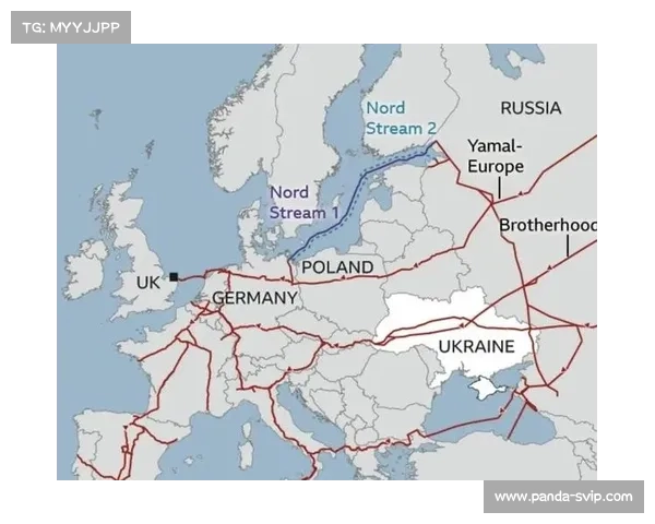 中国减少俄罗斯天然气进口,扩大美国能源采购的背后动因解析 中国减少俄罗斯天然气进口,扩大美国能源采购的背后动因解析