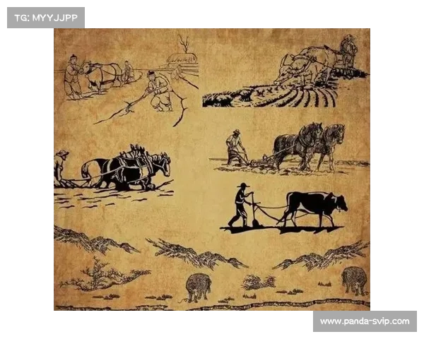 “只要累死的牛,没有耕坏的田”:浅谈努力与生命的平衡(只有累死的牛) “只要累死的牛,没有耕坏的田”:浅谈努力与生命的平衡(只有累死的牛)