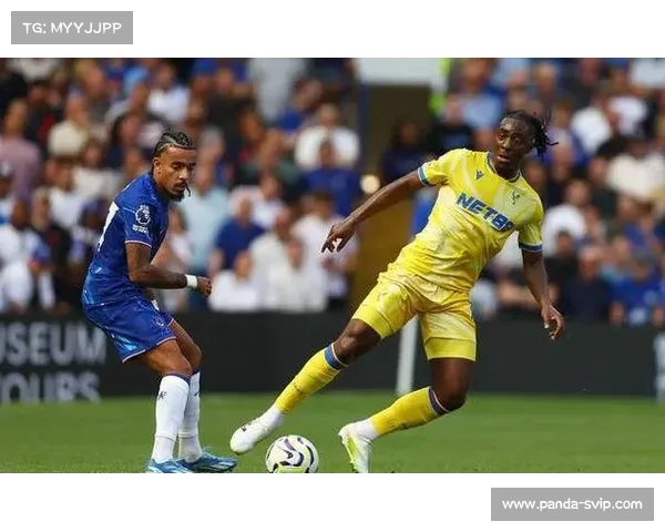 切尔西新援表现亮眼,攻守平衡引人注目 切尔西新援表现亮眼,攻守平衡引人注目