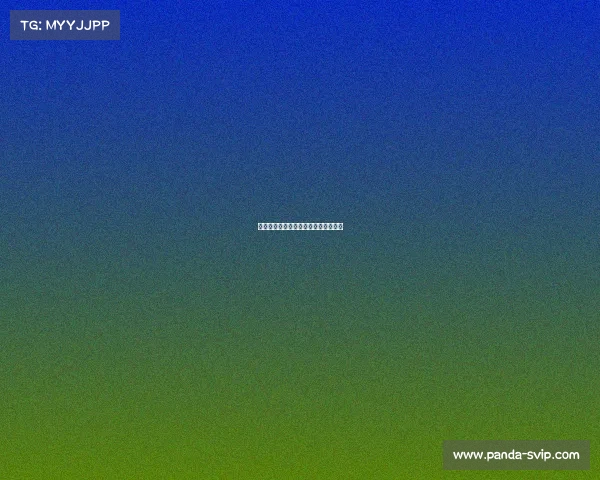 罗马迎来外援亮眼表现，攻防两端发力